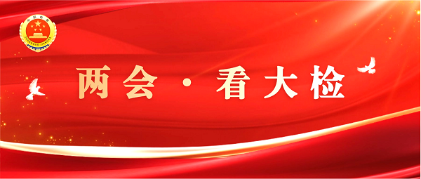 两会看大检(红色).png