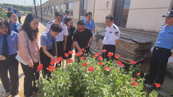 微信图片_1.png
